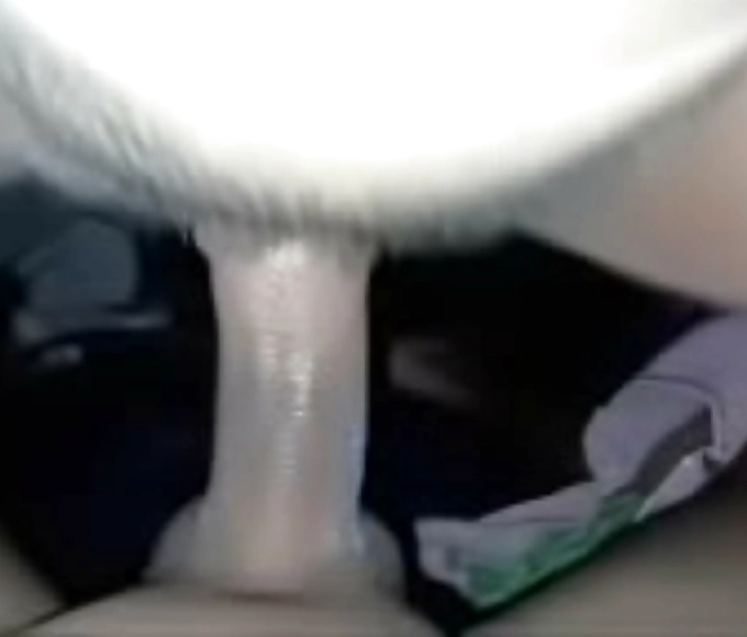 插 毛茸茸 Sizzling Tutor's Explicit Lesson Leads to Explosive Orgasmic